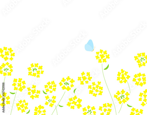 菜の花と蝶 背景イラスト Stock ベクター Adobe Stock 菜の花と蝶 背景イラスト Stock ベクター Adobe Stock