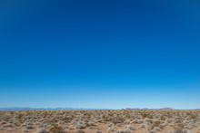 USA, Nevada, Clark County, Mormon Mesa. A Clear Blue Sky Above A Creosote Bursage Community Of Mojave Desert Shrubs.