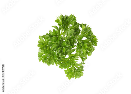 Fotomural Fresh parsley leaves isolated on white background