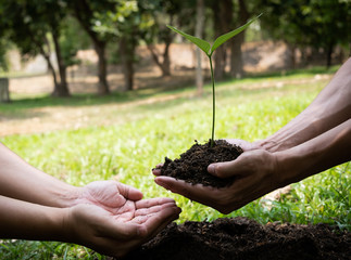 Two young men planting trees to protect the environment