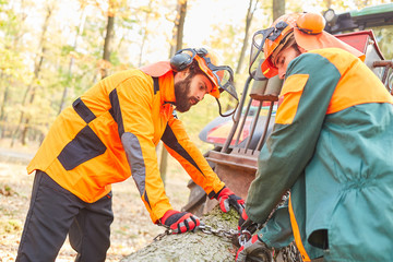 Canvas Print - Zwei Waldarbeiter beim Baumrücken im Wald