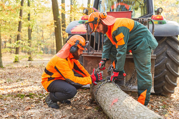 Poster - Waldarbeiter befestigen Baumstamm am Forwarder