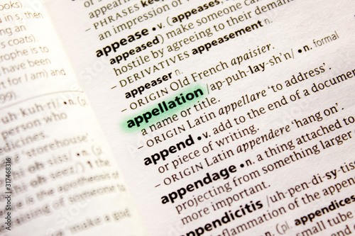 Fotografía Appellation word or phrase in a dictionary.