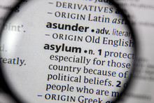 The Word Or Phrase Asylum In A Dictionary.