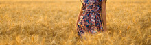 Girl Walking Through The Gold Field And Touching A Wheat With Her Hand