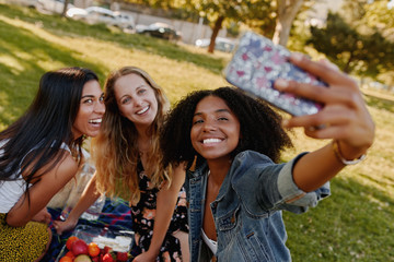 Poster - Portrait of smiling young african american woman taking selfie with her female friends at picnic in the park