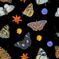 Sticker - Butterflis and wildflowers. Seamless pattern.