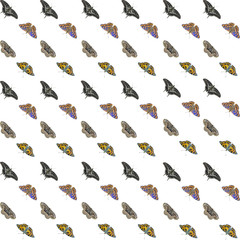 Poster - Butterflis. Seamless pattern.