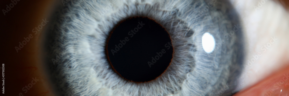 Blue eye male human super macro closeup. Healthy vision test concept - obrazy, fototapety, plakaty 