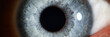 Leinwandbild Motiv Blue eye male human super macro closeup. Healthy vision test concept