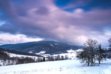 Wall Mural - Sunrise in Bieszczady Mountains in Winter. Long Exposure. Snowy Hills and Meadows