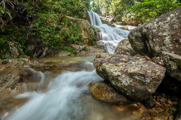 beautiful waterfall in green forest in jungle