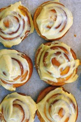 Wall Mural - Pumpkin cinnamon rolls with sugar icing