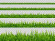Vector green grass border collection isolated on transparent background. Realistic style. Spring or summer plant leaves.