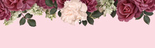 Border Floral Banner, Header With Copy Space. Dark Red Roses, White Peony, Lilac Isolated On Pink Background. Natural Flowers Wallpaper Or Greeting Card.