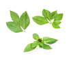 © Sanit - Sweet Basil, Thai Basil Leaves isolated on white background. This has clipping path.