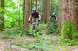 Verwegene Mountainbiker beim Downhill auf Wald-Trails