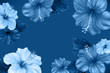 Floral background. Luxurious blooming Hibiscus flowers and leaves in blue shades. Beautiful tropical flower is also called Chinese Rose. The symbol of Malaysia, Korea and Hawaii. Vector Illustration.