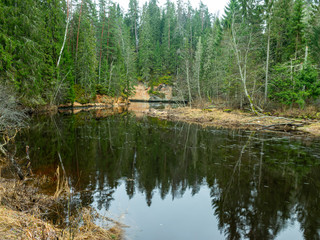 Wall Mural - landscape with small river and green trees ashore