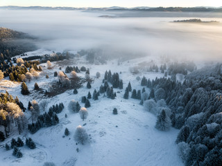 Wall Mural - Snow covered frozen trees in the foggy sunrise,captured from above with drone. Winter nature background. Transylvania,Romania.