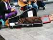 Perro vagabundo tumbado en funda de guitarra mientras recaudan monedas tocando instrumento musical