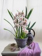 Still life with cymbidium orchid in a basket on a white background