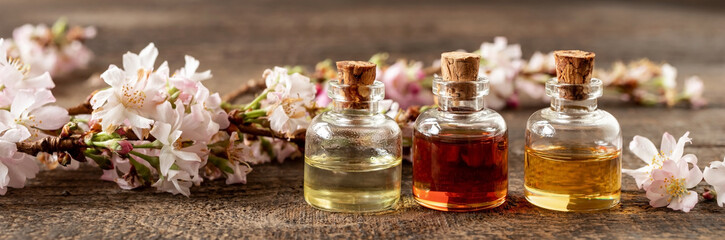 Wall Mural - Panoramic header of essential oil bottles with blooming tree branches