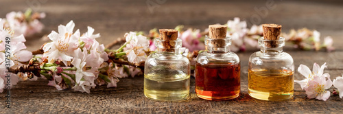 Cuadros en Lienzo Panoramic header of essential oil bottles with blooming tree branches
