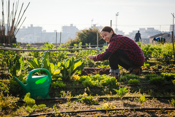 young woman gardening in urban garden