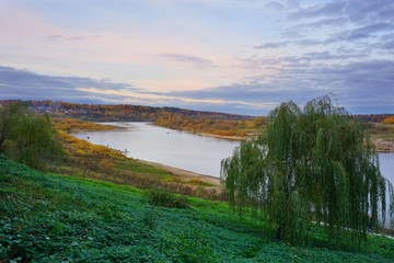 A river. Golden forest around. Green slope and a green tree. Russian nature. Oka river. Tarusa