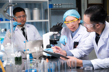 Wall Mural - scientific researchers team are working in the laboratory