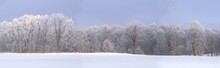 Panorama Of A Field Surrounded By Trees Covered In The Snow Under A Cloudy Sky And Sunlight