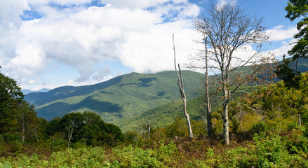 Autumn in the Appalachian Mountains Viewed Along the Blue Ridge Parkway