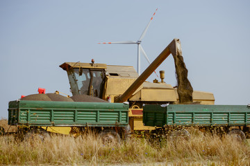 Combine harvesting the rape field