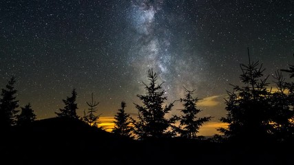 4K Astro Time Lapse Of Milkyway And Stars Over Silhouetted Spruce Tree Forest
