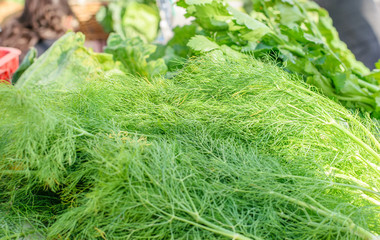 Wall Mural - Big bunch of fresh natural dill and some othe green from the farm for saling at the market place on holiday.