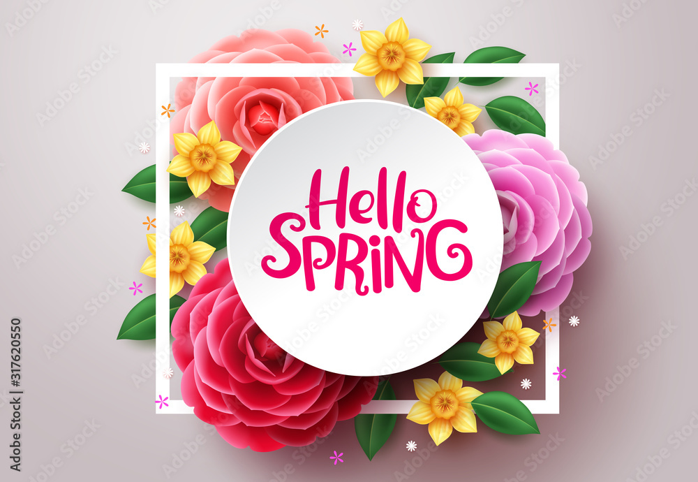 Spring flower vector background. Hello spring text in white frame space and colorful camellia and crocus flowers in white background. Vector illustration. - obrazy, fototapety, plakaty 
