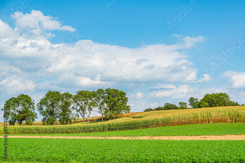 Cuadros en Lienzo Amish country field agriculture, harvest, farm, barn in Lancaster, PA US