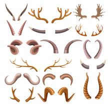 Horns Collection With Colorful Hunting Trophies Of Animals