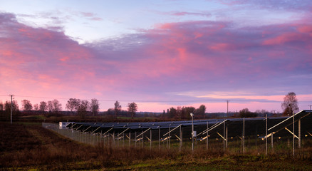 Wall Mural - photovoltaic power plant during sunrise