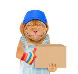 Aufkleber - Smiling puppy wearing a blue cap  holds big box and shows thumbs up gesture. isolated on white background