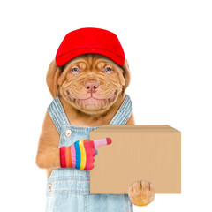 Aufkleber - Smiling puppy wearing a red cap and overalls points on big box. Delivery concept. Isolated on white background