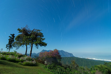 Wall Mural - beautiful nighttime scenery and stars moving in the sky, long exposure form doi mae taman san pa kia