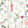 © zenina - Beautiful vector floral summer seamless pattern with watercolor hand drawn field wild flowers. Stock illustration.