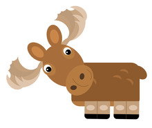 Cartoon Scene With Moose Elk On The White Background Illustration