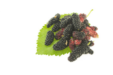 Wall Mural - Mulberry fruit