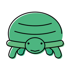 Wall Mural - little turtle animal isolated icon