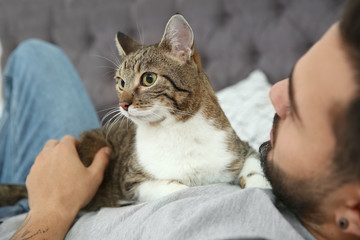 Wall Mural - Man with cat on bed at home, closeup. Friendly pet