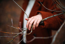 Unrecognizable  Female Hands In Bright  Brown Coat In Autumn