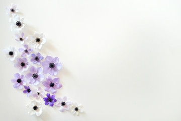 Wall Mural - Beautiful purple anemone flower with tender petals on white table background with a lot of copy space for text. Top view, flat lay.